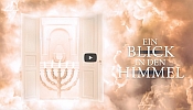 youtube-link