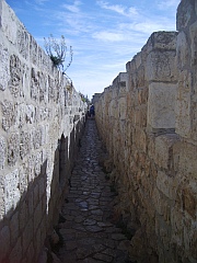 Mauern Jerusalems