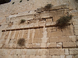 Tempelplatz Jerusalems