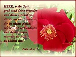 Gottes Ruhm verkündigen