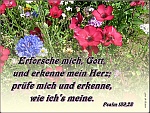 Spruchkarten zu Gott lieben