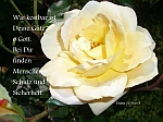 Gottes Güte und Schutz