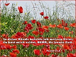 Unserem Erlöser vertrauen