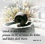 Ölkelter
