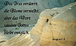 Qumran-Höhlen