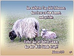 Gottes Liebe