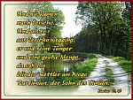 Gottes Wege