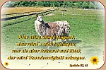 ohne Buße keine Errettung!