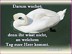 Bereit sein für Jesu Wiederkunft