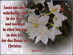 in der Liebe zu Jesus wachsen