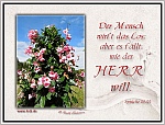 Gott ist der Herr