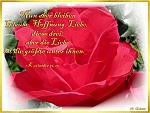 Die große Bedeutung der Liebe