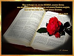 Die Bibel ist Maßstab für unser Leben!