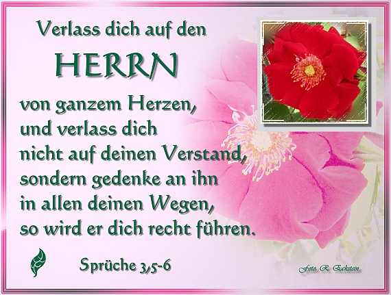 Spruchkarte - Gott vertrauen