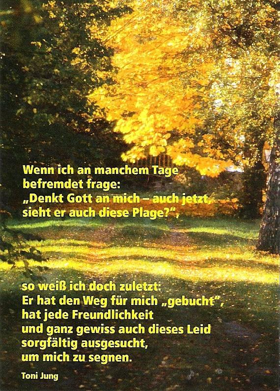 Spruchkarte - Gottes Wegfhrung