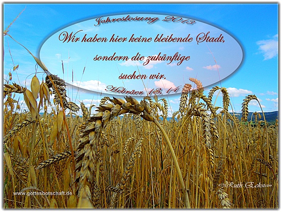 Spruchkarte - Jahreslosung 2013