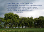 Dem HERRN nachfolgen