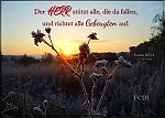 Gottes Hilfe